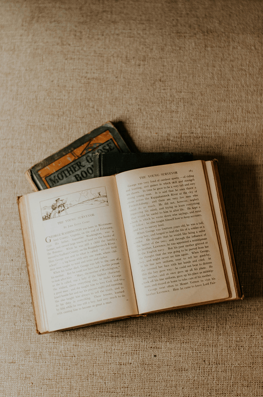 世界史座標下的中國：從50個課題切入，看懂歷史發展的脈絡與邏輯 - 作者: 張宏杰